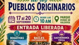 Pampilla de los Pueblos Originarios en el Parque Pedro de Valdivia