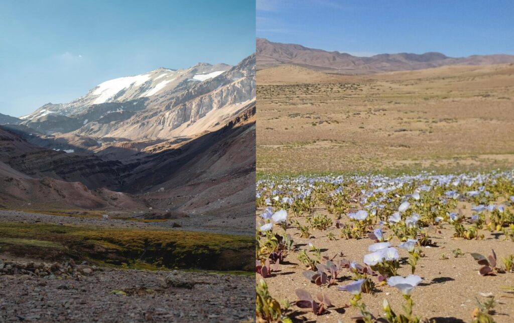 Imágenes del Parque Nacional Glaciares y el Parque Nacional Desierto Florido.