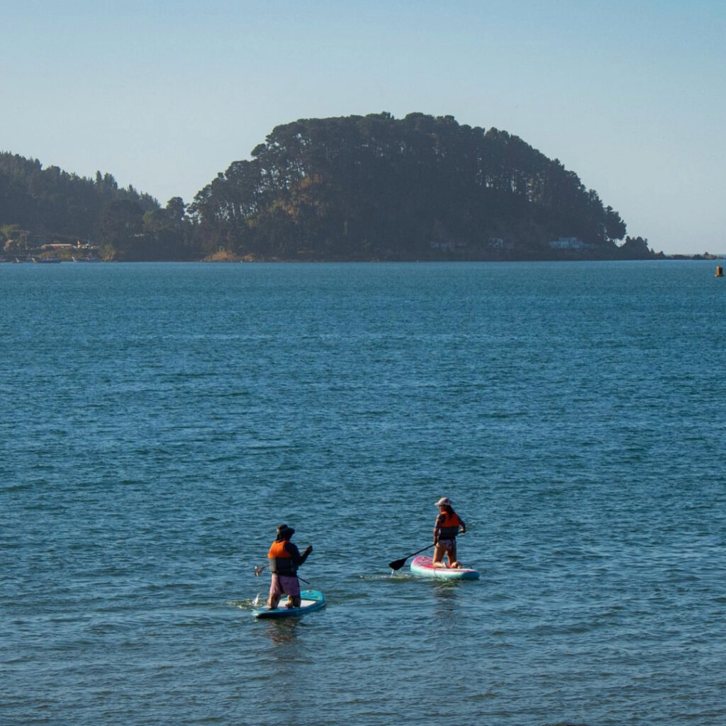 Dos personas practicando stand up paddle en la bahía de Dichato, con un cerro boscoso al fondo, uno de los balnearios de la costa del Biobío ideal para escapadas de fin de semana.