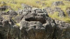 Vai a Heva, una enorme roca tallada con forma de rostro humano, rodeada de pasto dorado en el Circuito Pōike.