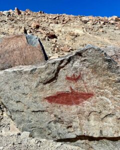 Pintura rupestre en tonos rojos sobre una roca, con la figura de una balsa y un pescador, arte asociado al pueblo Chango.