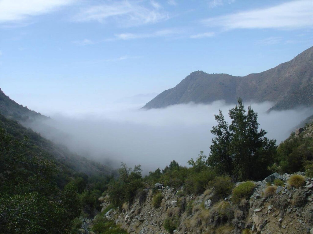 Un manto de niebla cubre el fondo de un valle cordillerano, en un paisaje que resguarda parte de los tesoros escondidos de Chile en la precordillera de Valparaíso.