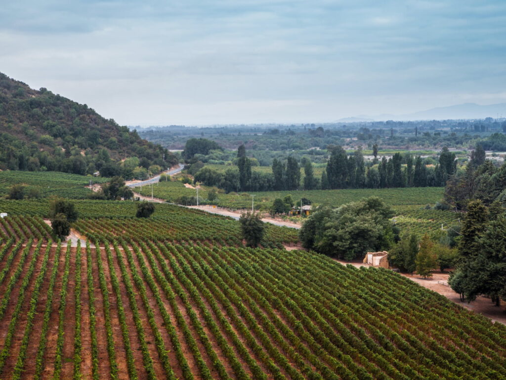 Vista aérea de extensas hileras de viñedos en un valle rodeado de cerros boscosos, con un camino rural y árboles a orillas de un río, un paisaje vitivinícola que se puede recorrer en las escapadas de fin de semana en tren por el Maule.