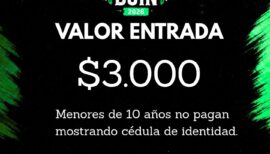 Fondas Oficiales de Buin