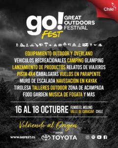 Afiche oficial GoFest