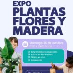 Expo Plantas, Flores y Madera en Limache