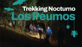 Trekking nocturno en el Parque Aguas de Ramón