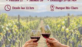 Wine Maule 2026