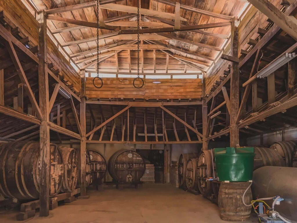 Toneles de madera alineados bajo el techo de vigas de una bodega pisquera tradicional de Monte Patria, iluminada por la luz natural que entra por las ventanas altas.