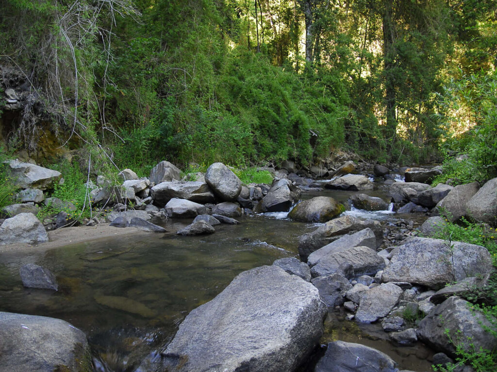 Estero Nonguén corre entre grandes rocas y pequeñas caídas de agua, rodeado de bosque nativo denso en el Parque Nacional Nonguén, región del Biobío.