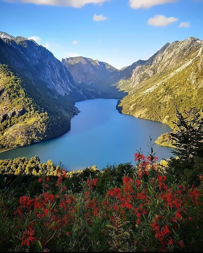 Notros con flores rojas en primer plano frente a un lago de aguas turquesa rodeado de montañas cubiertas de bosque nativo, bajo un cielo azul con nubes. 