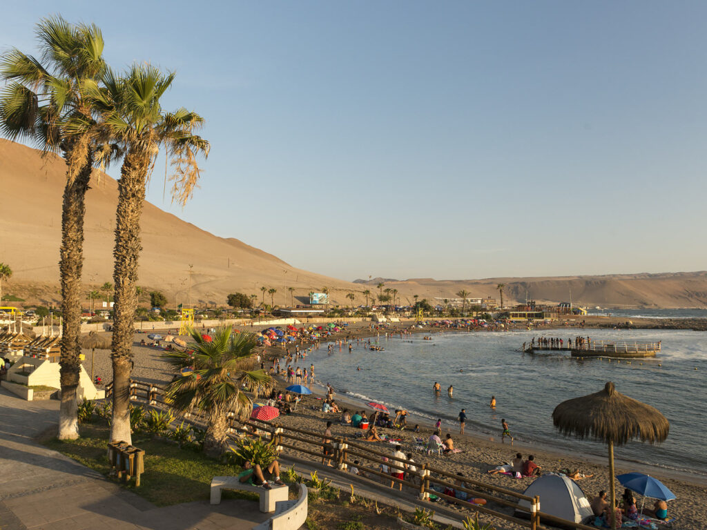 Playas de Arica al atardecer, con veraneantes bañándose y quitasoles de colores en la arena, palmeras en la costanera y un cerro desértico al fondo. 