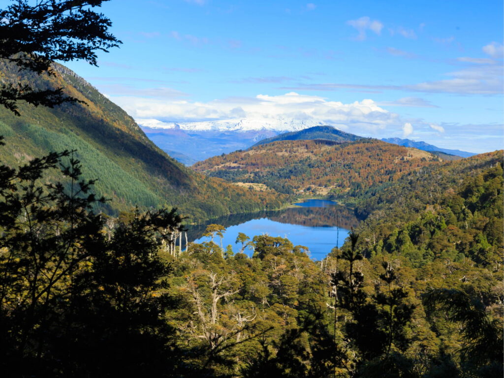  Lago rodeado de bosque nativo en otoño y volcán nevado al fondo, en el Parque Nacional Huerquehue, Chile, nominado a Mejor Destino de Naturaleza en los World Travel Awards 2026